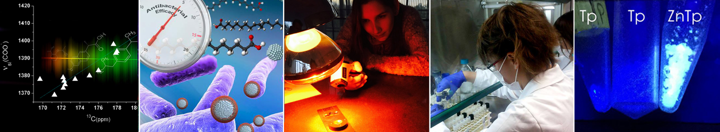 azocar-anillo-2-1440x264