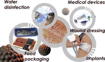 Tamayo-Azocar-Cu-NanoReview